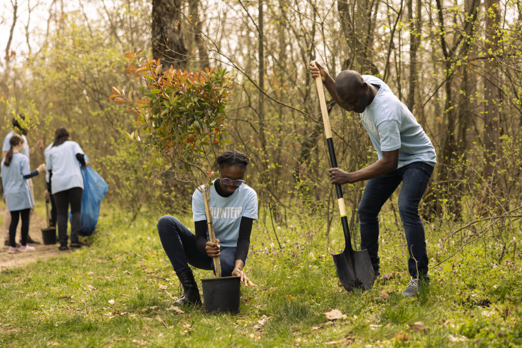 Team of volunteers planting trees to preserve natural ecosystem and forest